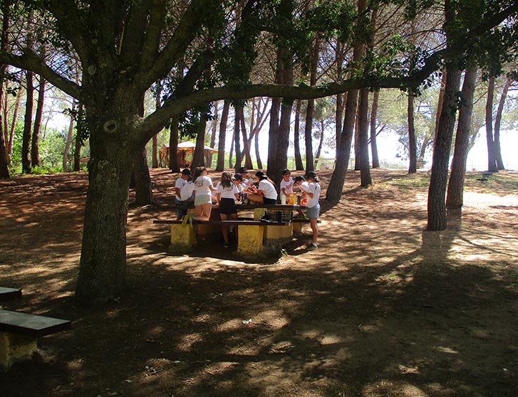picnic-campamento-tadeo-jones-en-madrid